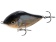 Воблер тонущ. джеркбейт Salmo SLIDER S 10/RR Воблер тонущ. джеркбейт Salmo SLIDER S 10/RR