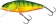 Воблер плав. Salmo PERCH DR 012/HP